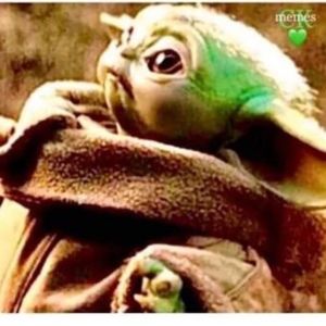 Meet your Posher, Kamilah